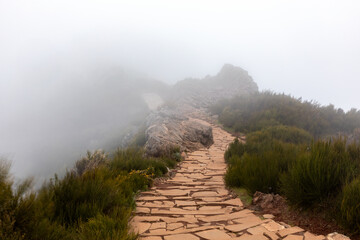 Dichter Nebel auf dem Pico do Arieiro, Madeira