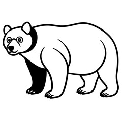 White Vector Sketch Spectacled Bear