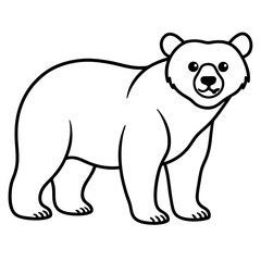 White Vector Sketch Spectacled Bear
