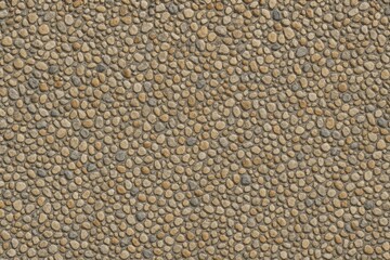 Close-up of a compacted gravel path with tiny stones bonded by cement, showcasing a textured stone surface against a roadside background