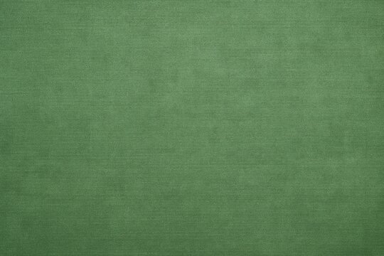 Background featuring a green canvas texture