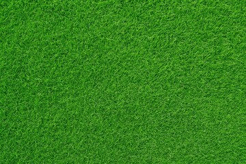 Fototapeta premium Lush verdant meadow scene