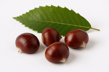 Raw chestnuts displayed on a plain white backdrop