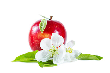 Red juicy apple with flower and leaves. Isolated on white background.
