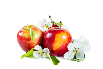 Red juicy apples with flowers and leaves. Isolated on white background.