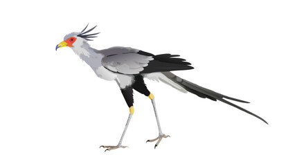 secretary-bird-in-digital-painting (1)
