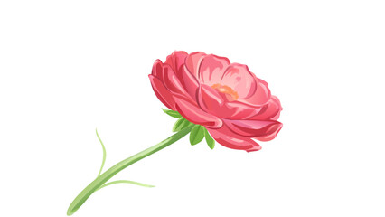 ranunculus-flower-in-digital-painting-