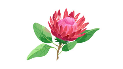 Fototapeta premium protea-flower-in-digital-painting