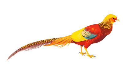 golden-pheasant-in-digital-painting