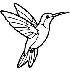Xantus Hummingbird Minimalist Line Illustration