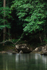 Beautiful nature landscape, lush green, river and forest. Conceptual Image for the environment and sustainable environmental restoration. Nature background, outdoor vertical