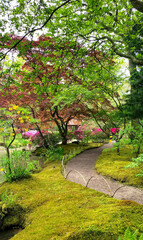 Garden Spring Park Old Vintage Japanese Holland Netherlands The Hague