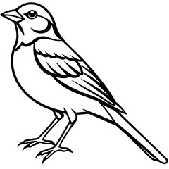 Yellowhammer Bird Sketch Vector Linework