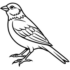 Yellowhammer Bird Sketch Vector Linework