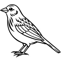 Yellowhammer Bird Sketch Vector Linework