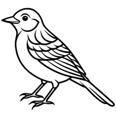 Yellowhammer Bird Sketch Vector Linework