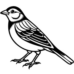 Yellowhammer Bird Sketch Vector Linework