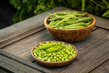 Freshly harvested green peas