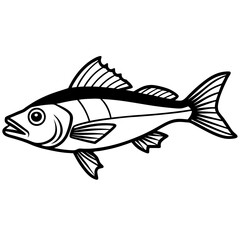 Zander Fish Artwork Linear Style Vector Design