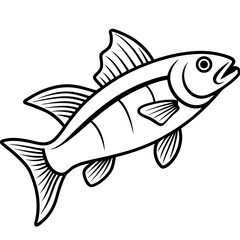 Zander Fish Artwork Linear Style Vector Design