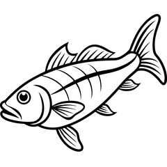 Zander Fish Artwork Linear Style Vector Design