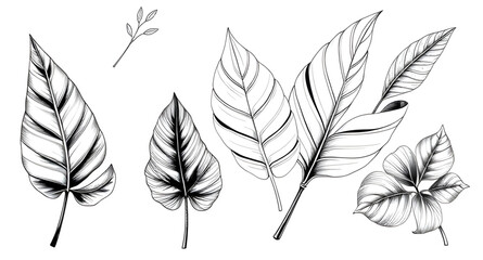 Green leaves on white background, Botanical leaf background, Leafy design, Fresh leaves backdrop, Green foliage on white, Nature leaves background, Minimal leaf design, Organic leaf pattern, Natural l