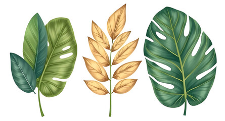Green leaves on white background, Botanical leaf background, Leafy design, Fresh leaves backdrop, Green foliage on white, Nature leaves background, Minimal leaf design, Organic leaf pattern, Natural l