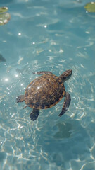 AI image of a calm striped turtle swimming in calm, crystal-clear water, creating a peaceful atmosphere