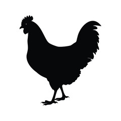 Black silhouette of a rooster against a white background illustration