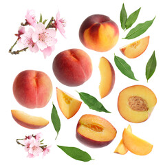 Ripe juicy peaches, blossoms and green leaves on white background, collage