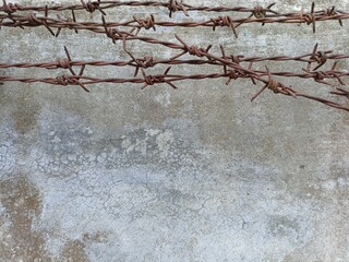 Rusty Barbed Wire Against Aged Concrete Wall Texture. Close-up of rusty barbed wire stretched...