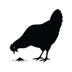 Black silhouette of a hen pecking at food on a white background