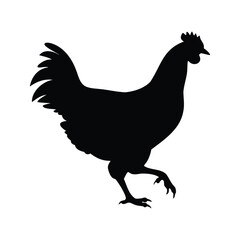 Black Chicken Silhouette Walking on White Background, Detailed and Precise Depiction