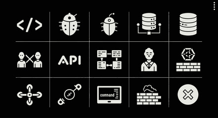 A collection of white software development icons on a black background, depicting bugs, databases, APIs, security, and networking.