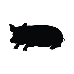 Silhouette of a black pig standing on a white background image