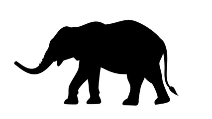 Obraz premium Animal Outline Silhouette Vector Icon