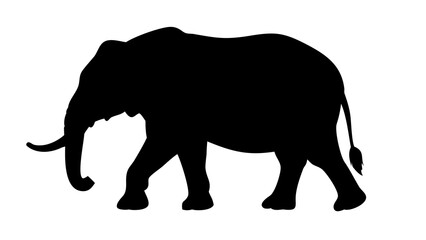 Fototapeta premium Animal Outline Silhouette Vector Icon