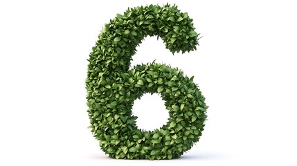 Number 6 made of green grass isolated on a white background