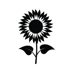 Elegant Black and White Sunflower Illustration with Simplistic and Naturalistic Style