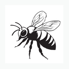 vector illustration of a bee