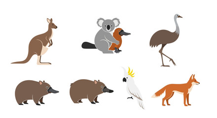 Fototapeta premium Vector australian animals illustrations kangaroo koala platypus emu cockatoo fox wildlife vector design concept