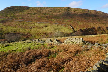 Rural autumn landscape in The Peak District, England, with rolling hills and a dry stone wall