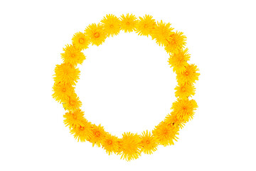 Wreath. Natural pattern. dandelion flowers isolated on white background.