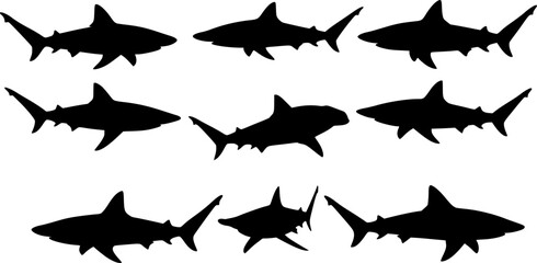 Fototapeta premium black silhouettes of various sharks, hammerhead shark, sharks swimming, aquatic life, marine animals