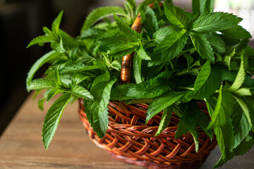 Freshly harvested mint leaves in a rustic basket ready for culinary delights in a cozy kitchen...