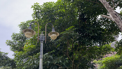 This image features a weathered, classic street lamp with two globes, positioned against a backdrop...
