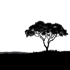 A lone tree silhouette stands against a stark white background, symbolizing nature, resilience, and the beauty of simplicity.