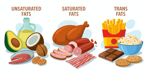 Food fats: unsaturated, saturated, and trans fats illustration