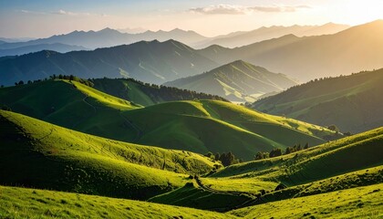 Mountain landscape panorama at sunrise with green forests, summer meadows, and a view of the valley under a cloudy sky
