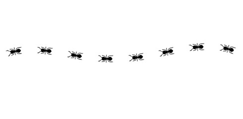 Silhouettes of ants marching in neat lines, showcasing teamwork and organization, Ant Trail Illustration - Black Line Ants Design